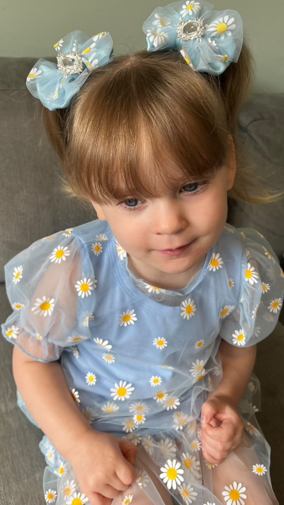 Sunshine and daisies piggies