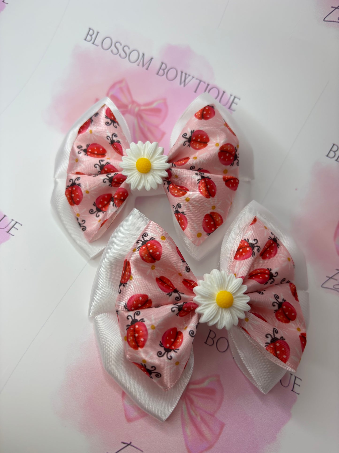 Little lady bug 🐞